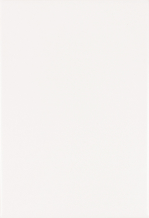 PISO 30X58 RETIFICADO WHITE MATE 'A'